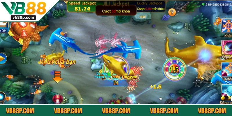 Hãy dành chút thời gian để quan sát cách con mồi di chuyển