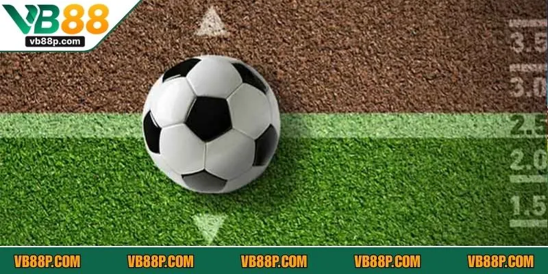 Thông tin về tỷ lệ kèo cần nắm 